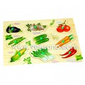 Bảng ghép hình _ Hoa quả VDN01